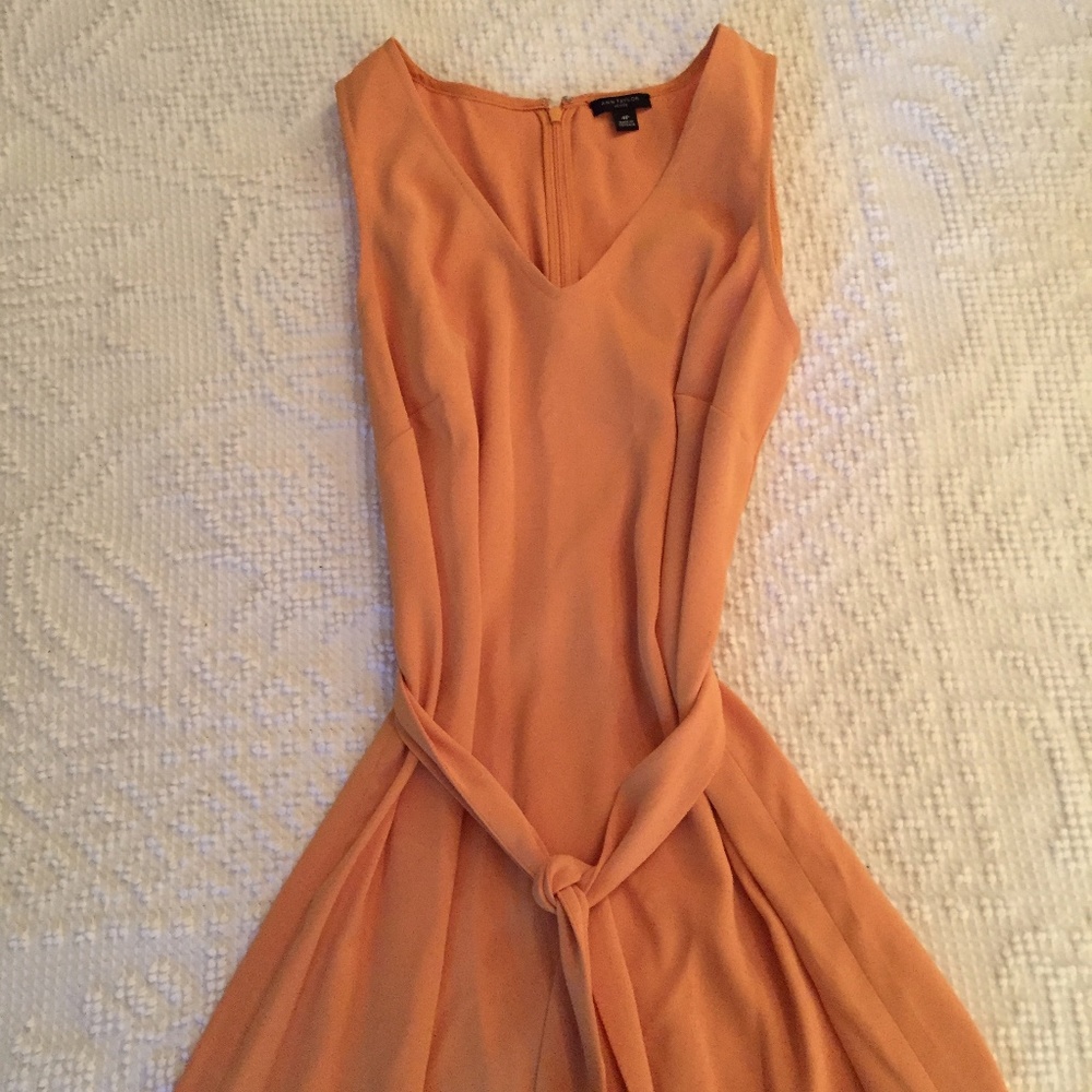 NWOT Ann Taylor Trapeze V-Neck Dress 4P - Picture 4 of 6